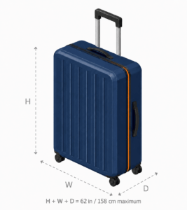 Checked Baggage